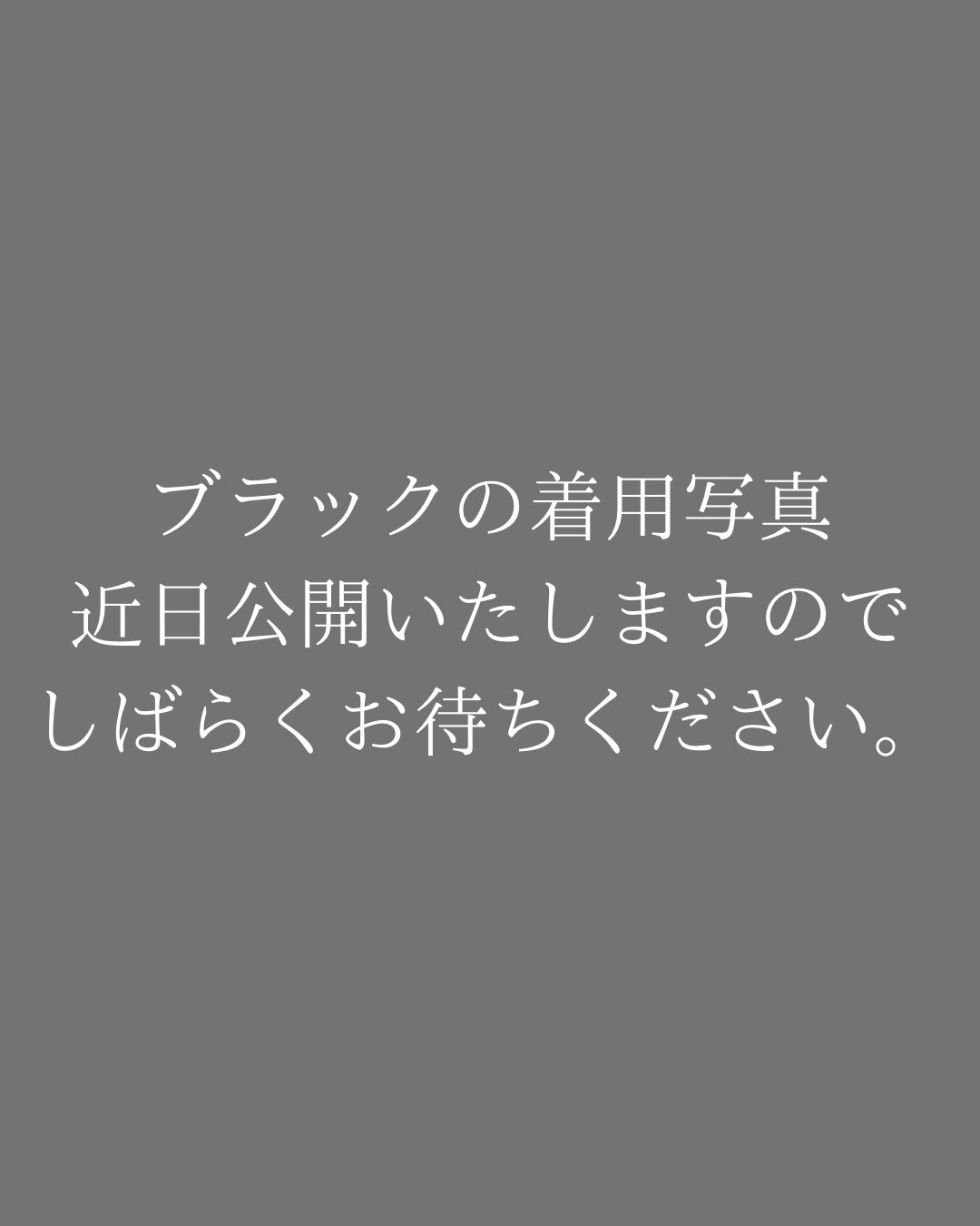 ストーンダガー パーカー(Mens/メンズ)