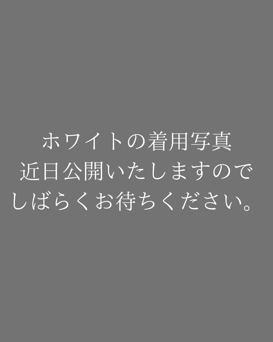 オーロラダガー パーカー(Mens/メンズ)